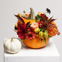 HA_Thanksgiving Pumpkin Arrangement
