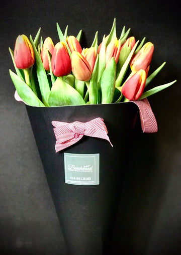 EA-Red Tulip with special wrapping